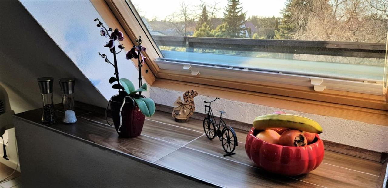 Ferienwohnung Am Park ライプツィヒ エクステリア 写真